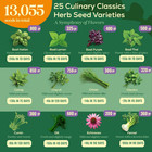 25 Culinary Herb Seeds Variety Pack - 13 055  Non-gmo Heirloom Herbs Seeds Fo   