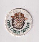 Smokey Bear Prevent Forest Fires Patch 1970s