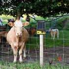 For Cattle Animal Poultry Supplies Electric Fence Controller Charger Set