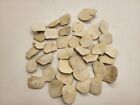 Alligator Scute Small 1 2 Pound Bag For Jewelry Making