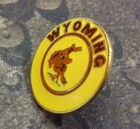 State Of Wyoming Pin Badge