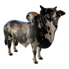 Bull Liquor Dispenser  Handcrafted Animal Shaped Alcohol Dispenser