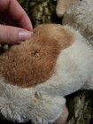 Webkinz Holland Lop Bunny Plush Only No Code Flawed