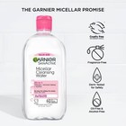 Garnier Micellar Water Hydrating Facial Cleanser makeup Remover -basic Cleansing