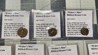 Widows Mite Biblical Bronze Coin 103-76 Bc  Lot Of 10 Coins 4