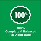 Purina Dog Chow Complete Adult Dry Dog Food Real Chicken High Protein 44 Lb Bag