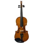Song Violin 3 4 With Horse Head Neck  Hand Made  Flames Maple Back  Master Sound