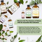 Essential Oils 16 Oz  Bulk 100  Pure Natural Therapeutic Grade Aromatherapy Oil