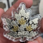 2017 Gilded Silver Maple Leaf     Royal Canadian Mint     Rcm  20 Coin Ogp 999 Fine