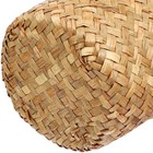Seagrass Waste Basket Garbage Bin Woven Trash Can Office Counter