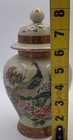 Hand Painted Satsuma - Peacock Ginger Jar W lid -euc - Japan