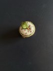 Limoges France Peint Main Apple Trinket Box Floral Gold Trim
