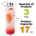 Duocesica 3 Packs Glass Water Bottles With Lid Clear Juice Clear 