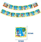 Sonic Hedgehog Birthday Party Supplies Set Plate Napkins Banner Tableware Kit