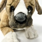 Vintage 1988 Avanti Applause Boxer Pup Dog Stuffed Animal Plush 21 