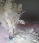 Gorgous White Ostrich Feathers 100 Pieces 17-21 In Perfect For Weddings   Arts