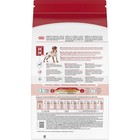Medium Adult Dry Dog Food - Size Health Nutrition  4 Lb Bag  Balanced Nutrition 
