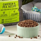 Chicken   Pea Recipe Dry Dog Food  Grain-free 24 Lbs