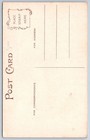 Antique Victorian Girl Red Poppies Summer Hat Illustration 1908