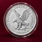 2021 American Silver Eagle Type 2  1 Oz Silver Coin  0 999 Fine Silver - Au