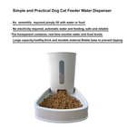 Dog Cat Feeder And Food Bowl For Pets Auto Flowing Anti-tip Feeding Food Bowl