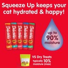 Squeeze Up Interactive Lickable Wet Cat Treats Variety Pack  48 Count Jar 