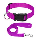 Plain Nylon Pet Puppy Cat Dog Collar And Matching Leash Set Adjustable 4 Sizes