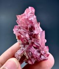 100 Carat Bunch Of Pink Tourmaline Crystal Specimen From Afghanistan