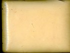 Antique Celluloid Cabinet Photo Album  Ship  Windmill  Cream Color  54 Slots 4x6