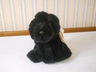 New Tags Fao Schwarz Plush Beanie Blak Lab Puppy Dog Realistic 11  Long