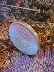 1982 Mexico 1 Onza Plata Pura Silver Libertad Coin Winged Victory 1oz  999         