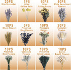130pcs Diy Mixed Natural Dried Flower Set  Preserved Flowers Bulk With Baby s