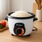      electric Rice Cooker Nonstick   Persian Tahdig Rice Maker   Automatic Cooker