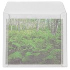 Pack Of 500 Glassine Envelopes - 9 1 2 X 11