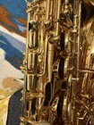 Saxivo Brand New Alto Saxophone     Professionally Set Up  Case  
