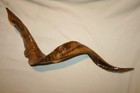 Vintage Ram s Horn Shofar Rare Goat Prototype Jr Charlie Fast Outsider Artist