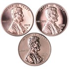2019 W W W Lincoln Shield Cent Year Set Proof Reverse Proof   Bu Us 3 Coins Ogp