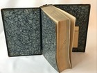 Diseases Of Eye Ear Nose Throat 1899 Antique Medical Book Illus Color Plates