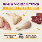 Raw Coated Cat Food - High Protein  Grain-free Kibble With Cage-free Chicken - P