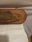 Vintage Fur Bearing Trout Folk Art