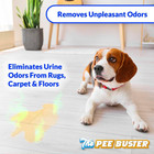 The Pee Buster Pet Stain Remover - Cleaning Spray For Dog And Cat Urine With 5 C