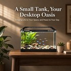 3 5 Gallon Betta Fish Tank  All In One Aquarium Starter Kits With Back Filter 