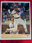 Andrea Dawson Signed Autographed Custom Framed 8x10 Photo Chicago Cubs Psa dna