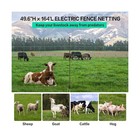 Electric Poultry Netting  49 6  H X 164  L  Electric Chicken Fence With 14 Po   