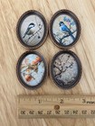 1 12 Dollhouse Miniature Portraits Of Birds And Nature In Copper Tone Frame