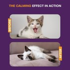 New Mlove Therapet Md Pheromone Cat Diffuser     Helps Promote Relaxed Behavior