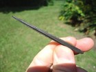 Deadly Fossil Sting Ray Barb Florida Fossils Ice Age Extinct Bones Tooth Stinger