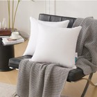 Oubonun 30 X 30 Pillow Inserts  set Of 2  - Euro Pillows With 100  Cotton Cover