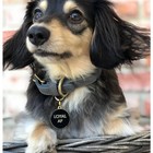 Two Tails Pet Company Loyal Af Personalized Dog Id Tag  Black