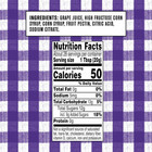 Grape Squeezable Jelly  20 Ounces  pack Of 12 